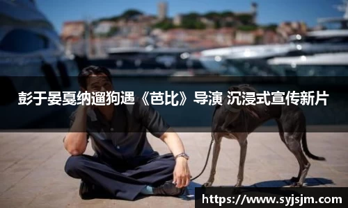 非凡娱乐app